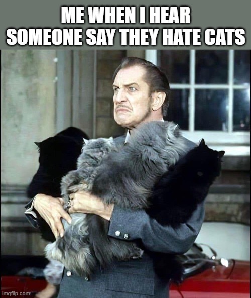 ME WHEN I HEAR SOMEONE SAY THEY HATE CATS | made w/ Imgflip meme maker
