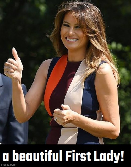 Speaks 4 Languages; Persecuted by those who can't speak One | image tagged in vince vance,melania trump,flotus,first lady,memes,president trump | made w/ Imgflip meme maker