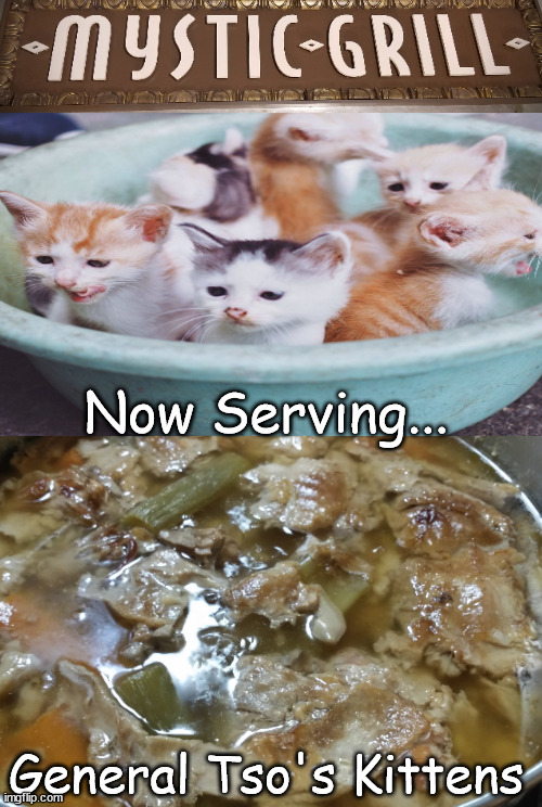 Tso's at the Mystic Grill | Now Serving... General Tso's Kittens | image tagged in memes,dark humor | made w/ Imgflip meme maker