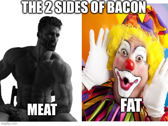 Hope this reaches the right audience | THE 2 SIDES OF BACON; FAT; MEAT | image tagged in bacon | made w/ Imgflip meme maker