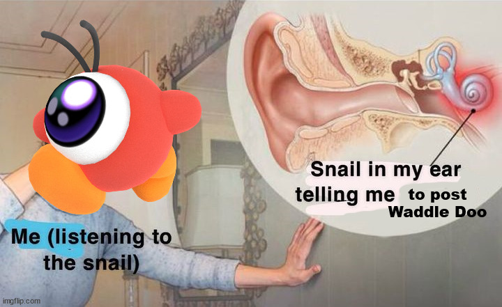 HELM YAW IT'S WADDLE DOO TIME | to post Waddle Doo | image tagged in snail in my ear | made w/ Imgflip meme maker