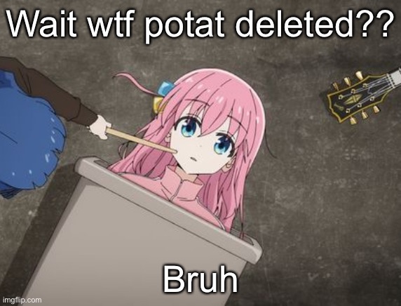 bocchi | Wait wtf potat deleted?? Bruh | image tagged in bocchi | made w/ Imgflip meme maker