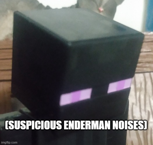 Enderman stare | (SUSPICIOUS ENDERMAN NOISES) | image tagged in enderman stare | made w/ Imgflip meme maker