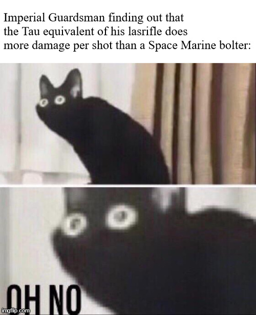 How can this be? | Imperial Guardsman finding out that the Tau equivalent of his lasrifle does more damage per shot than a Space Marine bolter: | image tagged in oh no cat | made w/ Imgflip meme maker