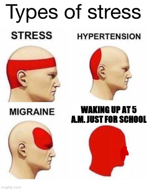 Types Of Stress | WAKING UP AT 5 A.M. JUST FOR SCHOOL | image tagged in types of stress | made w/ Imgflip meme maker