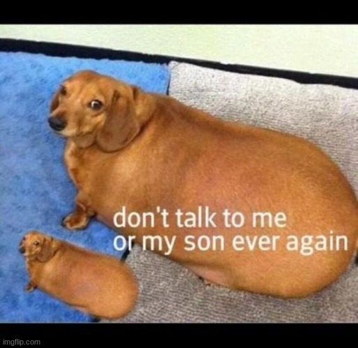 this might be my only post today idk | made w/ Imgflip meme maker