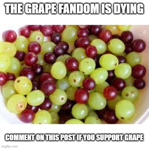 I support grapes | THE GRAPE FANDOM IS DYING; COMMENT ON THIS POST IF YOU SUPPORT GRAPE | image tagged in grapes | made w/ Imgflip meme maker