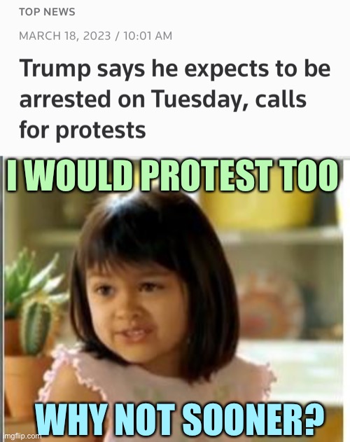 I WOULD PROTEST TOO; WHY NOT SOONER? | image tagged in why not both | made w/ Imgflip meme maker