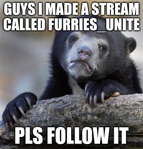 Confession Bear | GUYS I MADE A STREAM CALLED FURRIES_UNITE; PLS FOLLOW IT | image tagged in memes,confession bear | made w/ Imgflip meme maker