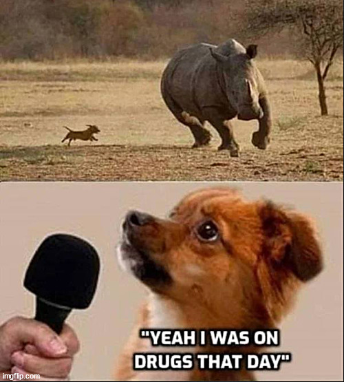 pups in the weeds | image tagged in memes,dark humor | made w/ Imgflip meme maker