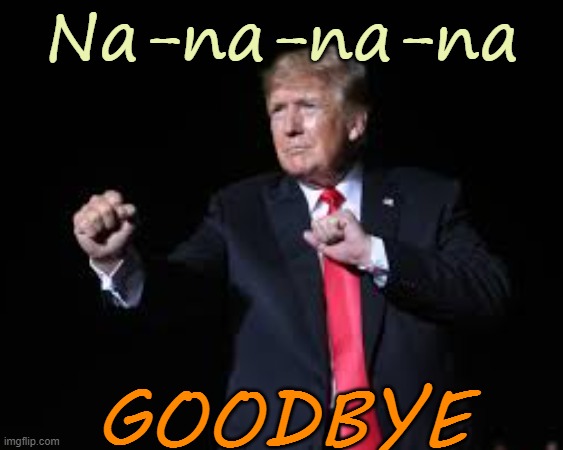 Have a nice trip, Donald | Na-na-na-na; GOODBYE | image tagged in donald trump,maga,crime,justice,politics | made w/ Imgflip meme maker