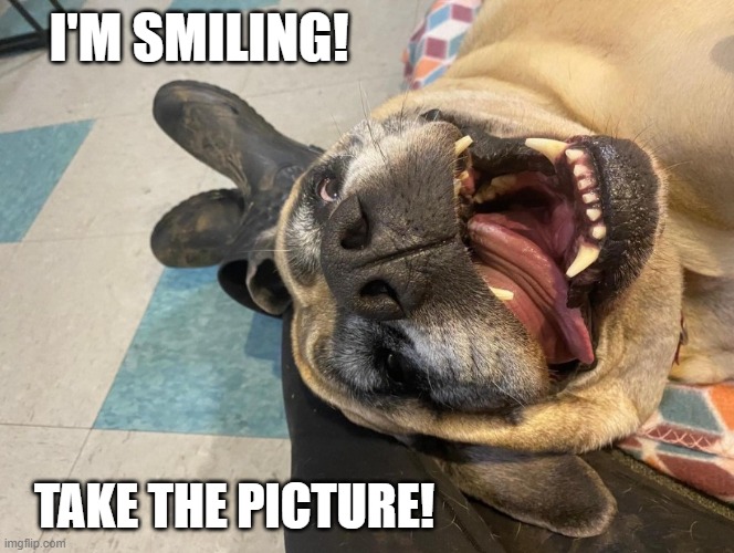 GPPR I'm Smiling | I'M SMILING! TAKE THE PICTURE! | made w/ Imgflip meme maker