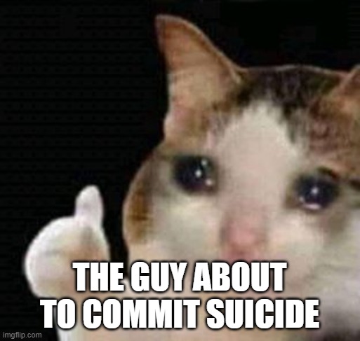 sad thumbs up cat | THE GUY ABOUT TO COMMIT SUICIDE | image tagged in sad thumbs up cat | made w/ Imgflip meme maker