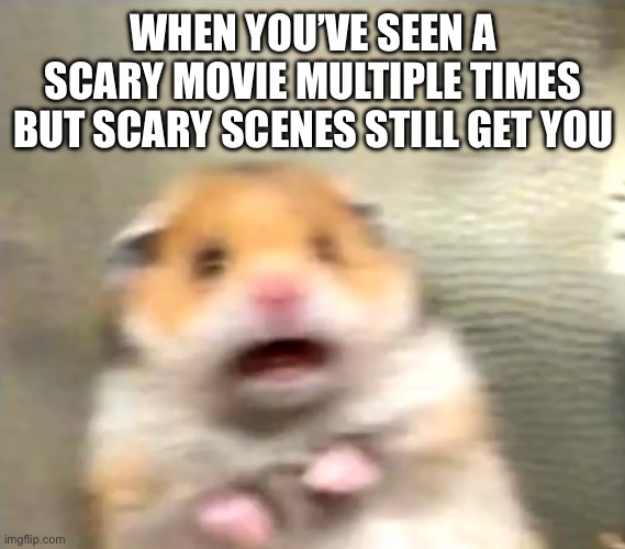 Watching A Horror Movie Multiple Times | WHEN YOU’VE SEEN A SCARY MOVIE MULTIPLE TIMES BUT SCARY SCENES STILL GET YOU | image tagged in scared hamster,horror movie,scary,jump scare,watch a movie | made w/ Imgflip meme maker