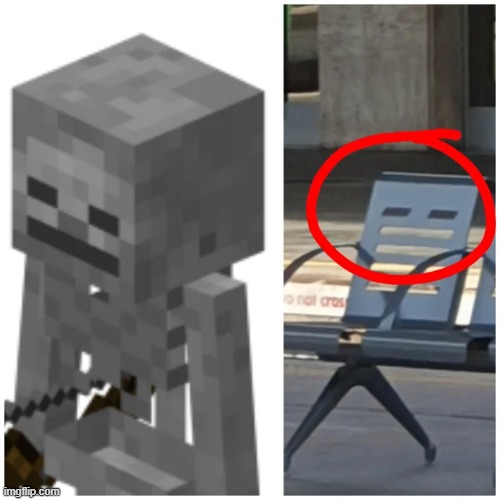 Trainstation Skeleton Seat; Don't ask | image tagged in memes,funny,minecraft | made w/ Imgflip meme maker