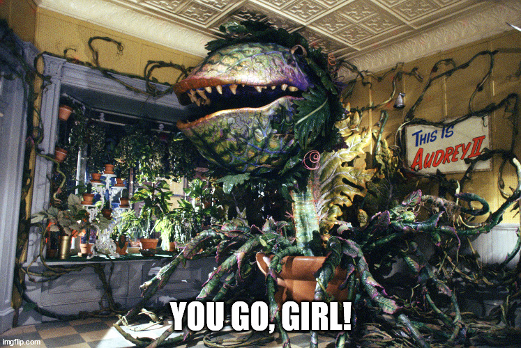 Audrey II | YOU GO, GIRL! | image tagged in audrey ii | made w/ Imgflip meme maker