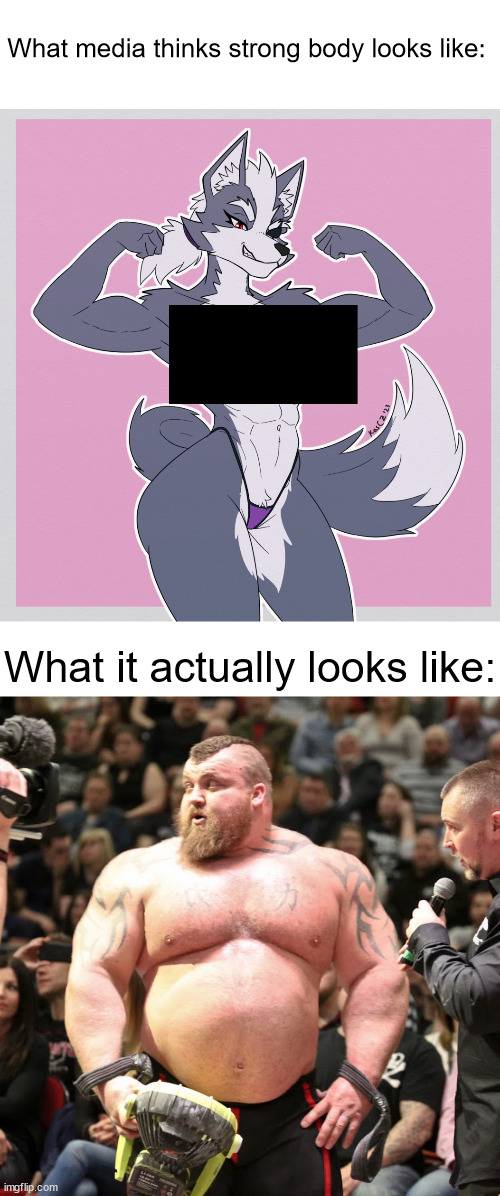 He may not look like it, but he is one of the strongest people in the world | What media thinks strong body looks like:; What it actually looks like: | image tagged in memes,anti furry,eddie hall,media logic | made w/ Imgflip meme maker