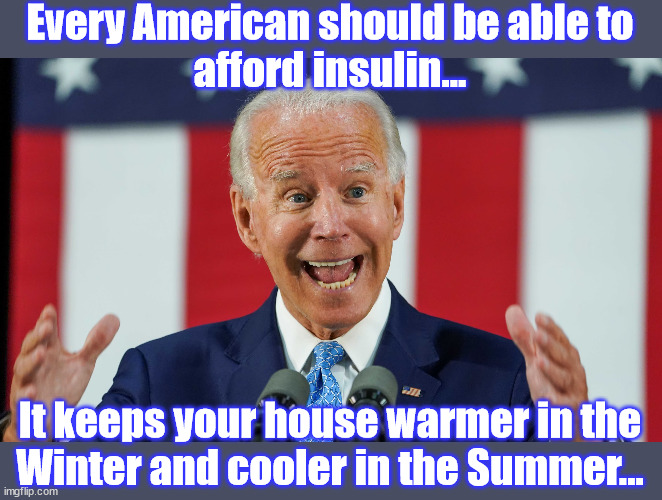 Biden Insulin | Every American should be able to
afford insulin... It keeps your house warmer in the
Winter and cooler in the Summer... | image tagged in biden,sleepy joe,sniffy,insulin,potus | made w/ Imgflip meme maker