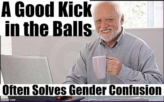 Painful Solution | A Good Kick 
in the Balls; Often Solves Gender Confusion | image tagged in politics,political humor,hide the pain,pain,balls,advice | made w/ Imgflip meme maker