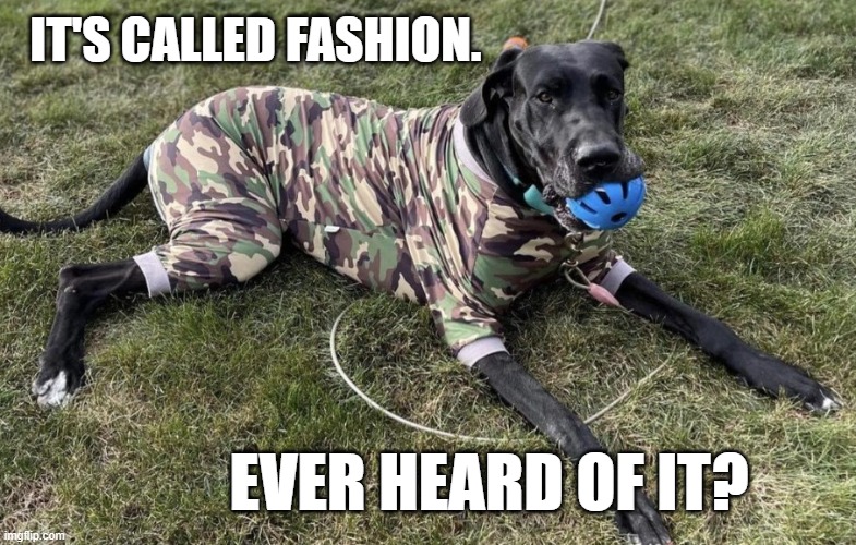 GPPR It's Called Fashion. | IT'S CALLED FASHION. EVER HEARD OF IT? | made w/ Imgflip meme maker