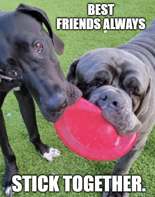 GPPR Best Friends | BEST FRIENDS ALWAYS; STICK TOGETHER. | made w/ Imgflip meme maker