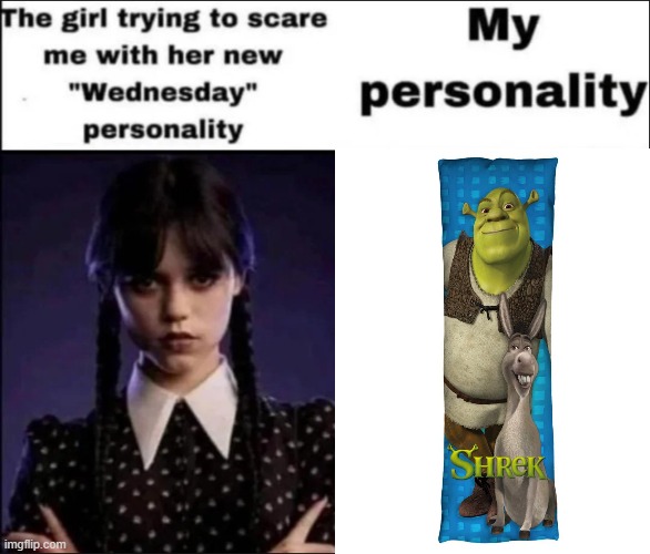 shrek bodypillow | image tagged in the girl trying to scare me with her new wednesday personality | made w/ Imgflip meme maker