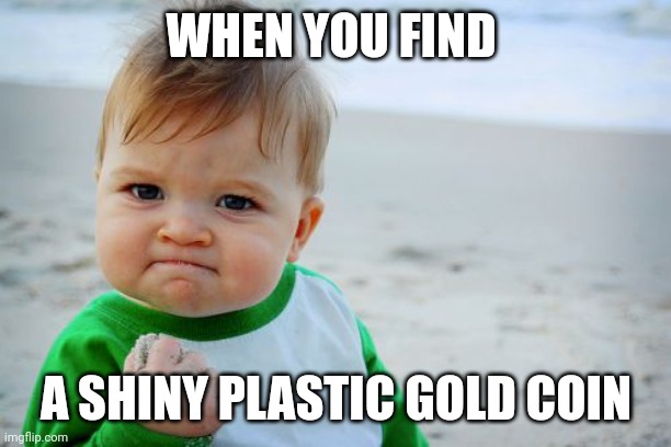 Am I the only one who would be excited about this??? | WHEN YOU FIND; A SHINY PLASTIC GOLD COIN | image tagged in memes,success kid original | made w/ Imgflip meme maker