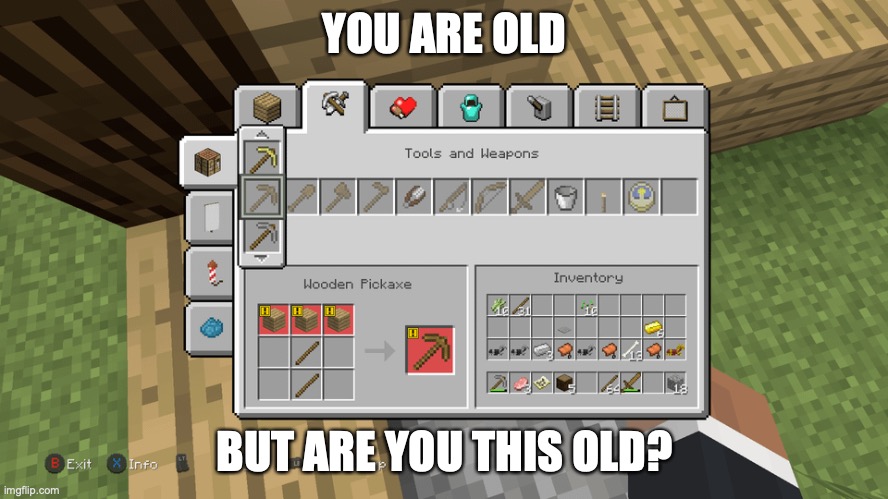 Good ol days | YOU ARE OLD; BUT ARE YOU THIS OLD? | image tagged in minecraft,old minecraft | made w/ Imgflip meme maker
