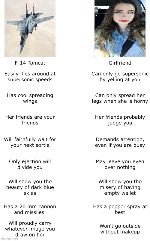 Tomcat vs Girlfriend | image tagged in fighter jet,girlfriend | made w/ Imgflip meme maker