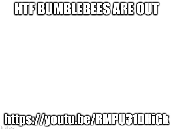 HTF BUMBLEBEES ARE OUT; https://youtu.be/RMPU31DHiGk | made w/ Imgflip meme maker