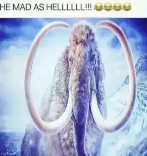 HE MAD AS HELLLLLLL!!! | made w/ Imgflip meme maker