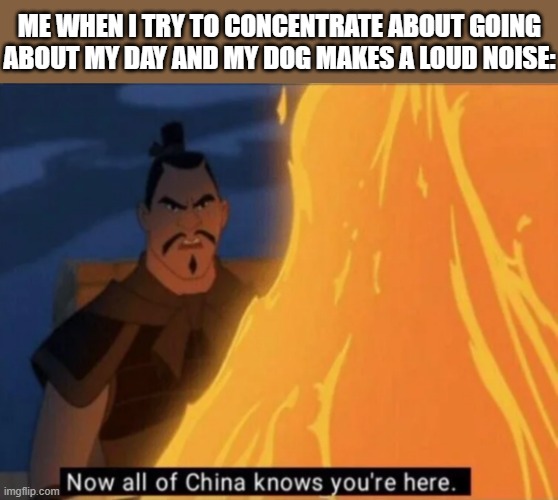 This is why I'd rather have a cat than a dog | ME WHEN I TRY TO CONCENTRATE ABOUT GOING ABOUT MY DAY AND MY DOG MAKES A LOUD NOISE: | image tagged in now all of china knows you're here,memes,relatable,mulan | made w/ Imgflip meme maker