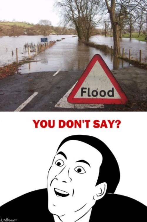 image tagged in memes,funny | made w/ Imgflip meme maker