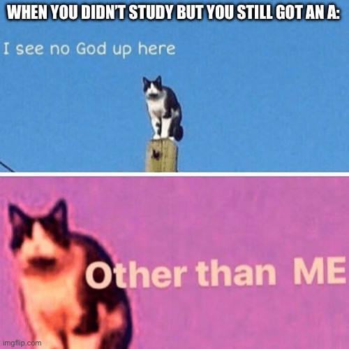 Hail pole cat | WHEN YOU DIDN’T STUDY BUT YOU STILL GOT AN A: | image tagged in hail pole cat | made w/ Imgflip meme maker