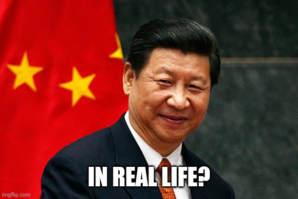 Xi Jinping | IN REAL LIFE? | image tagged in xi jinping | made w/ Imgflip meme maker
