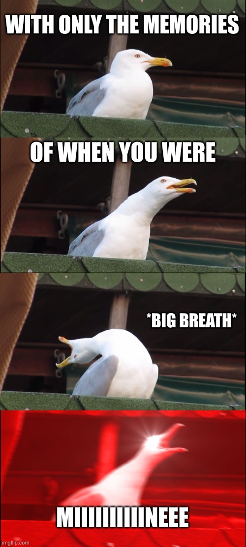 I can never hold the note | WITH ONLY THE MEMORIES; OF WHEN YOU WERE; *BIG BREATH*; MIIIIIIIIIINEEE | image tagged in memes,inhaling seagull | made w/ Imgflip meme maker