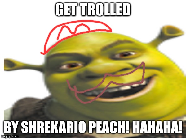 Somebody once told me the world was going to troll me | GET TROLLED; BY SHREKARIO PEACH! HAHAHA! | image tagged in troll | made w/ Imgflip meme maker