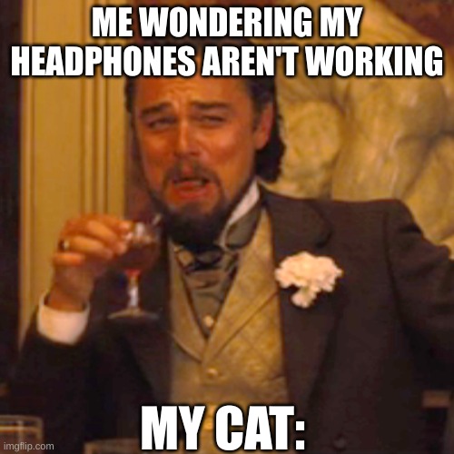 He eated them | ME WONDERING MY HEADPHONES AREN'T WORKING; MY CAT: | image tagged in memes,laughing leo | made w/ Imgflip meme maker
