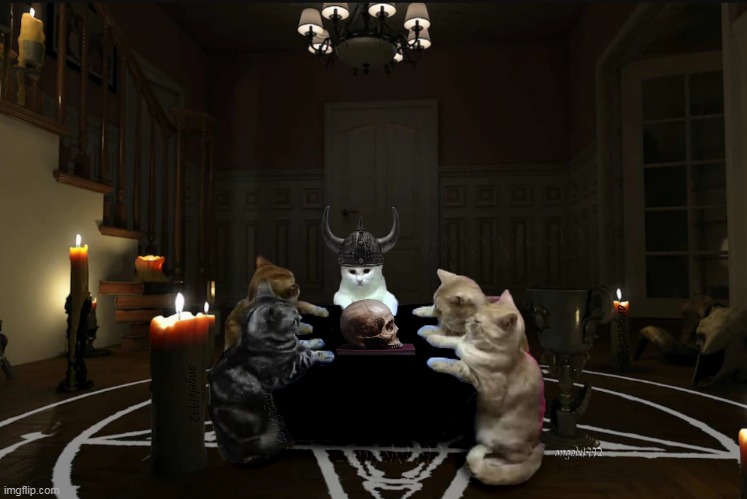 cats | image tagged in cats,worship,seance,prayer,cat memes,michis | made w/ Imgflip meme maker