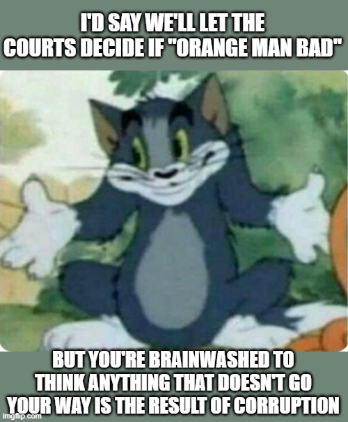Tom Shrugging | I'D SAY WE'LL LET THE COURTS DECIDE IF "ORANGE MAN BAD" BUT YOU'RE BRAINWASHED TO THINK ANYTHING THAT DOESN'T GO YOUR WAY IS THE RESULT OF C | image tagged in tom shrugging | made w/ Imgflip meme maker