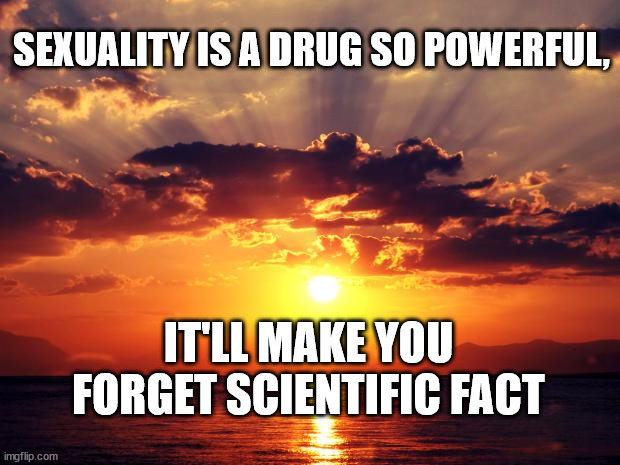 Sunset | SEXUALITY IS A DRUG SO POWERFUL, IT'LL MAKE YOU FORGET SCIENTIFIC FACT | image tagged in sunset | made w/ Imgflip meme maker