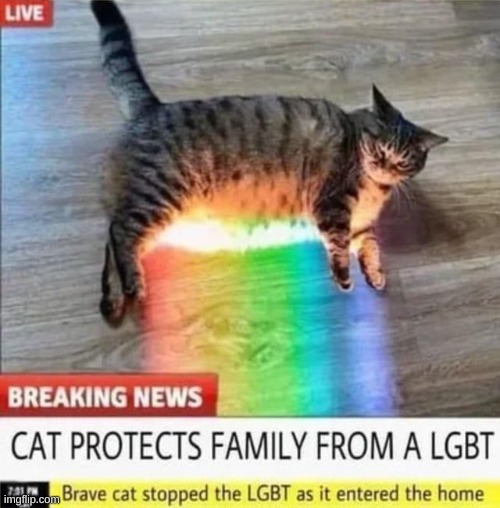 how brave | made w/ Imgflip meme maker