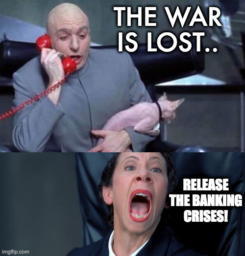 the war is lost | THE WAR IS LOST.. RELEASE THE BANKING CRISES! | image tagged in dr evil and frau | made w/ Imgflip meme maker