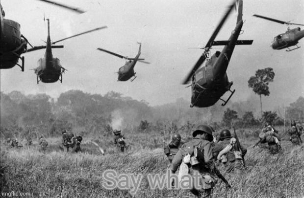 vietnam | Say what | image tagged in vietnam | made w/ Imgflip meme maker