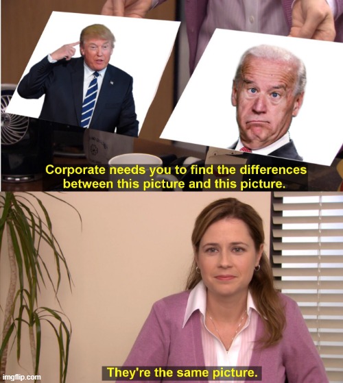 It's the same picture, different puppet | image tagged in republicrats and demopublicans,meme,trump,biden,republicans,democrats | made w/ Imgflip meme maker