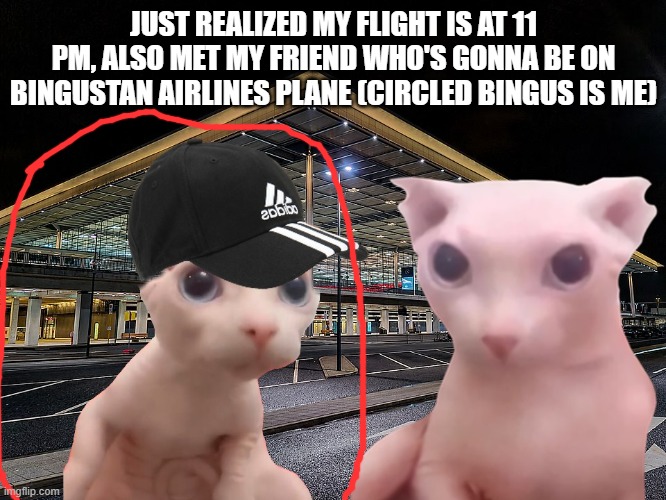 JUST REALIZED MY FLIGHT IS AT 11 PM, ALSO MET MY FRIEND WHO'S GONNA BE ON BINGUSTAN AIRLINES PLANE (CIRCLED BINGUS IS ME) | made w/ Imgflip meme maker