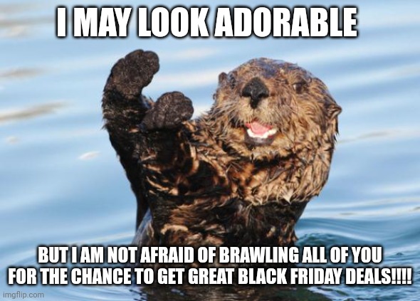 Black Friday otter brawl face | I MAY LOOK ADORABLE; BUT I AM NOT AFRAID OF BRAWLING ALL OF YOU FOR THE CHANCE TO GET GREAT BLACK FRIDAY DEALS!!!! | image tagged in otter celebration | made w/ Imgflip meme maker