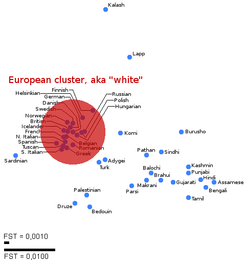 european genetic cluster Blank Meme Template