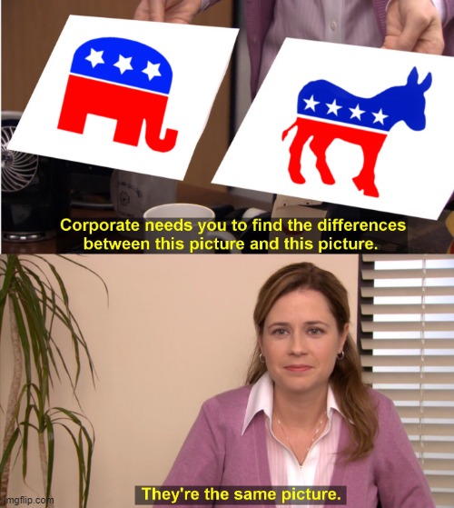 Same Picture | image tagged in same picture,meme,republicans,democrats,trump,biden | made w/ Imgflip meme maker