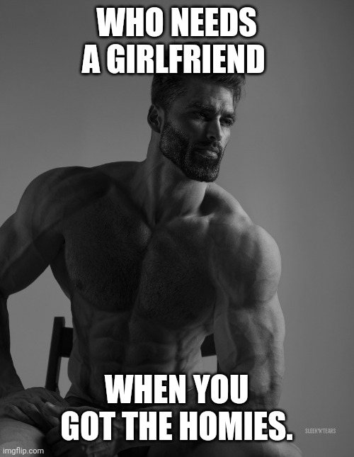 Giga Chad | WHO NEEDS A GIRLFRIEND; WHEN YOU GOT THE HOMIES. | image tagged in giga chad | made w/ Imgflip meme maker